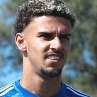 Gui Meira